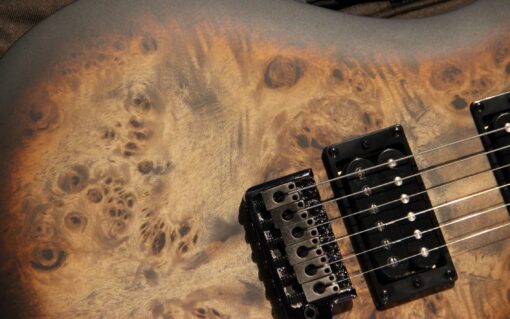 Limited Edition SE "Exotic" Custom 24-08 Popular Burl - Image 3