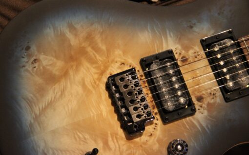 Limited Edition SE "Exotic" Custom 24-08 Popular Burl - Image 3